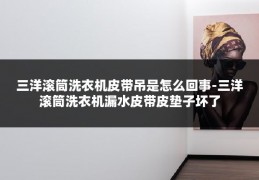 三洋滚筒洗衣机皮带吊是怎么回事-三洋滚筒洗衣机漏水皮带皮垫子坏了