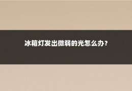 冰箱灯发出微弱的光怎么办？