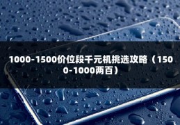 1000-1500价位段千元机挑选攻略（1500-1000两百）