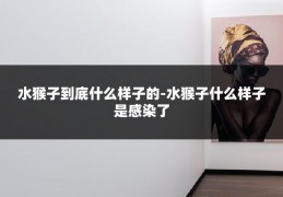 水猴子到底什么样子的-水猴子什么样子是感染了