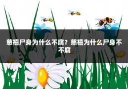 慈禧尸身为什么不腐？慈禧为什么尸身不不腐