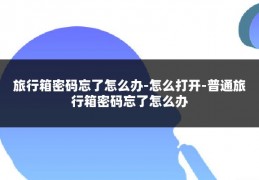 旅行箱密码忘了怎么办-怎么打开-普通旅行箱密码忘了怎么办