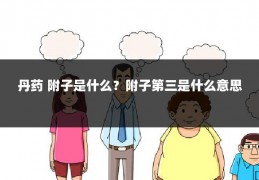 丹药 附子是什么?附子第三是什么意思