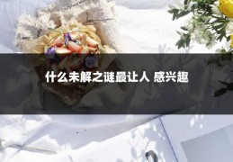 什么未解之谜最让人 感兴趣