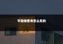 平阳侯曹寿怎么死的