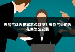 天然气灶火花塞怎么取换？天然气灶的火花塞怎么安装