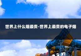 世界上什么烟最贵-世界上最贵的电子烟