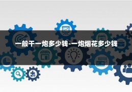 一般干一炮多少钱-一炮烟花多少钱