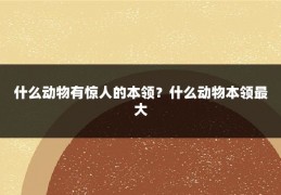 什么动物有惊人的本领？什么动物本领最大