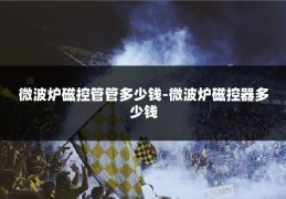 微波炉磁控管管多少钱-微波炉磁控器多少钱