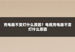 充电器不变灯什么原因？电瓶充电器不变灯什么原因