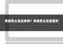 青蛙怎么生出来的?青蛙怎么生宝宝的