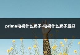 prima电视什么牌子-电视什么牌子最好