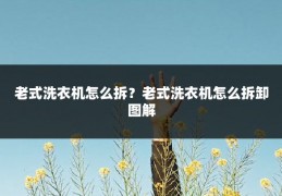 老式洗衣机怎么拆?老式洗衣机怎么拆卸图解