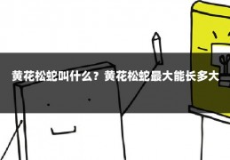 黄花松蛇叫什么?黄花松蛇最大能长多大