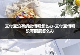 支付宝没有蚂蚁借呗怎么办-支付宝借呗没有额度怎么办