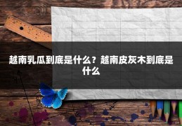 越南乳瓜到底是什么?越南皮灰木到底是什么