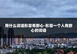 用什么词语形容有野心-形容一个人有野心的词语