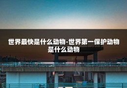 世界最快是什么动物-世界第一保护动物是什么动物