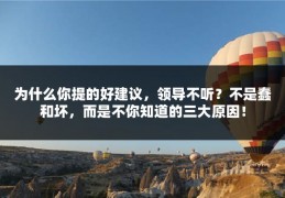 为什么你提的好建议，领导不听？不是蠢和坏，而是不你知道的三大原因！