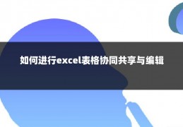 如何进行excel表格协同共享与编辑