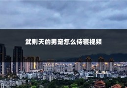 武则天的男宠怎么侍寝视频