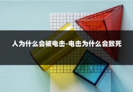 人为什么会被电击-电击为什么会致死