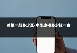 冰柜一般多少瓦-小型冰柜多少钱一台