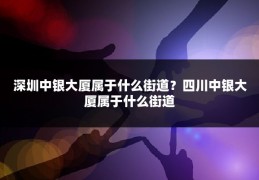 深圳中银大厦属于什么街道？四川中银大厦属于什么街道