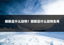 眼睛是什么动物？眼睛是什么动物生肖