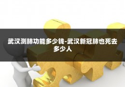 武汉测肺功能多少钱-武汉新冠肺也死去多少人
