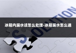 冰箱内漏水该怎么处理-冰箱漏水怎么通