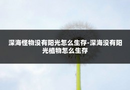 深海怪物没有阳光怎么生存-深海没有阳光植物怎么生存