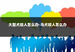 大型犬咬人怎么办-马犬咬人怎么办