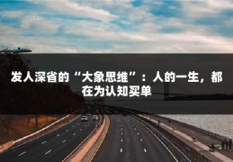 发人深省的“大象思维”：人的一生，都在为认知买单