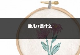 胎儿IT是什么