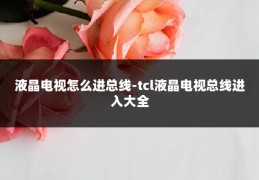 液晶电视怎么进总线-tcl液晶电视总线进入大全