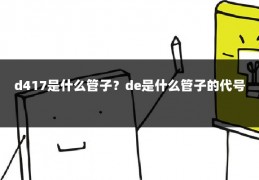 d417是什么管子？de是什么管子的代号