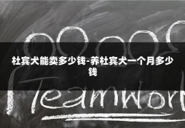 杜宾犬能卖多少钱-养杜宾犬一个月多少钱