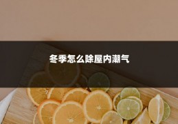冬季怎么除屋内潮气
