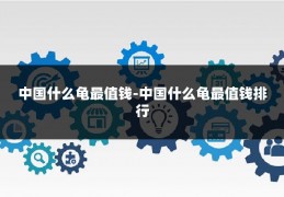 中国什么龟最值钱-中国什么龟最值钱排行