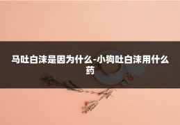 马吐白沫是因为什么-小狗吐白沫用什么药