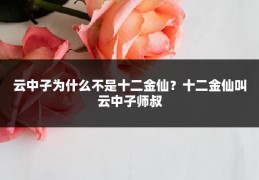 云中子为什么不是十二金仙?十二金仙叫云中子师叔