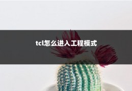 tcl怎么进入工程模式