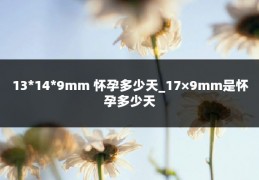 13*14*9mm 怀孕多少天_17×9mm是怀孕多少天