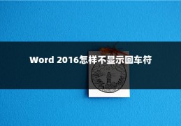 Word 2016怎样不显示回车符