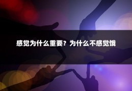 感觉为什么重要?为什么不感觉饿