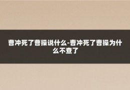 曹冲死了曹操说什么-曹冲死了曹操为什么不查了