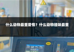 什么动物最重爱情？什么动物骚味最重