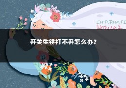 开关生锈打不开怎么办?